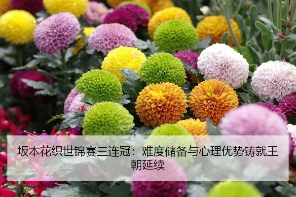 坂本花织世锦赛三连冠：难度储备与心理优势铸就王朝延续